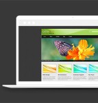 绿色清新图文展示果冻风格排版照片展示介绍网站模板