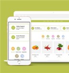 简洁蔬菜水果超市电商网站模板下载