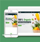 绿色有机蔬菜水果食品店铺响应式网站模板