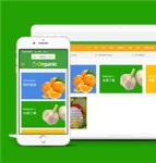 适合水果蔬菜销售商城HTML5网站模板