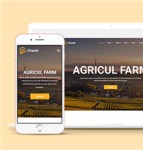 橙色精美有机食品农业种植网站模板