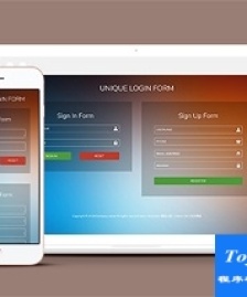 Sign Form html5登录模板