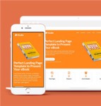 清爽橙色电子书在线服务商网站模板
