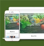 绿色清爽水果生鲜电商公司网站模板