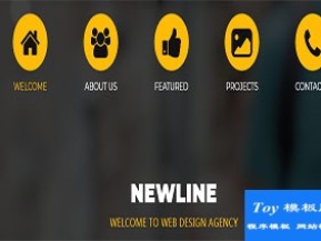 newline小图标简约大气暗黄CSS网站模板