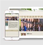 葡萄酒展示网站酒类自适应响应式餐饮网站模板