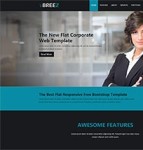 BIZ Web 外贸商务服务模板下载