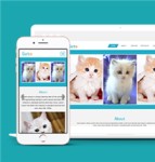 蓝色清新布局猫咪宠物社区展示网站模板