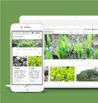 绿色大气响应式绿化公司HTML5网站模板下载
