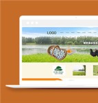 橙色生态乌鸡养殖农业科技公司网站模板