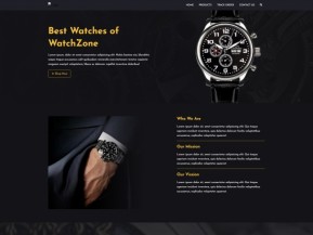 时尚奢侈品腕表宣传网站模板