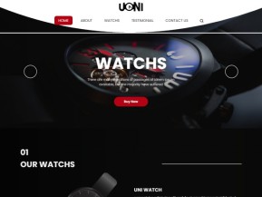 奢侈品手表服务公司网站模板