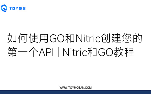 如何使用GO和Nitric创建您的第一个API | Nitric和GO教程