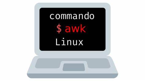 如何使用awk命令在Linux中分析Nginx访问日志并统计访问最多的IP地址