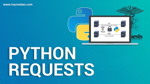 如何使用Python requests库验证证书